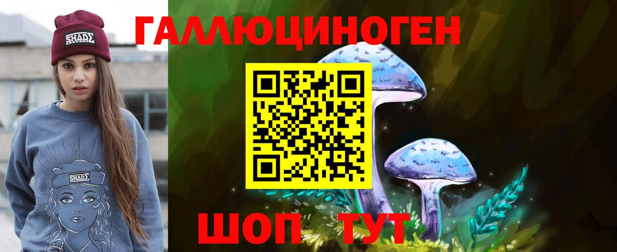 Псилоцибиновые грибы Psilocybe  Вход с VPN  Бутурлиновка  Галлюциногенные грибы Psilocybe 
